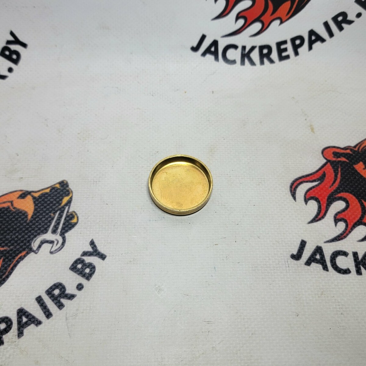 Пробка водяная CNH 83957023 Пробка водяная CNH 83957023