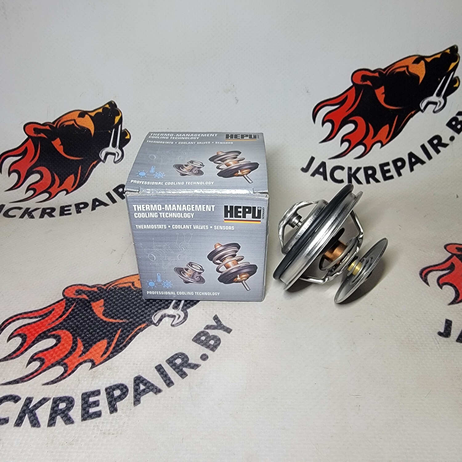 Термостат HEPU TM1373 Термостат HEPU TM1373